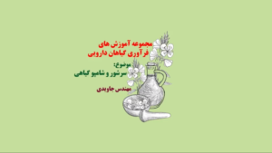 سرشور گیاهی سرشوی کیاهی نحوه ساخت شامپو طب سنتی