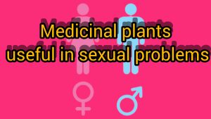 Herbs to increase sexual power, herbs to increase sexual desire, herbs to increase sexual power, herbs to increase semen, herbs to increase follicle growth, herbs to increase male penis size, herbs to increase duration of intercourse, herbs to reduce sexual desire, herbs to increase spermatogenesis, herbs to increase ovagogenesis, herbs to enhance Pregnancy, Javidi, zarin giyahe pars.