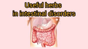 Famous herbs for various intestinal problems Anti-colitis plants - intestinal problems - anti-intestinal worms - dewormers - anti-constipation - anti-diarrhea - anti-dysentery - herbal laxative - anti-intestinal gas - anti-volvulus - anti-anal fissure - anti-hemorrhoids - anti-fistula - anti-colitis plants - Javidi – zarin giyahe pars - medicinal herbs