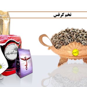 تخم کرفس خرید تخم کرفس فروش تخم کرفس تخم کرفس چیست خرید کرفس فروش کرفس کرفس چیست تاسیس عطاری