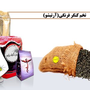 خرید کنگرفرنگی فروش کنگرفرنگی کنگرفرنگی کنگرفرنگی چیست تیشوک خریدتیشوک فروش تیشوک تیشوک چیست