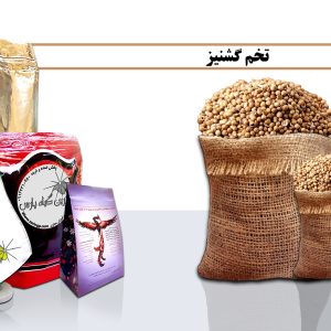 تخم گشنیز عطاری در نجف اباد خرید تخم گشنیز فروش تخم گشنیز تخم گشنیز چیست