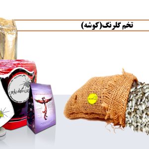 گلرنگ خرید گلرنگ فروش گلرنگ گلرنگ چیست تخم گلرنگ خرید تخم گلرنگ فروش تخم گلرنگ تخم گلرنگ چیست