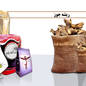 ریشه جوز گیاه جوز گگیاه جوز چیست ریشه جوز چیست خرید ریشه جوز گیاهان دارویی گیاهان درمانی