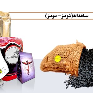 سیاهدانه(شونیز) خرید سیاهدانه فروش سیاهدانه سیاهدانه سیاهدانه چیست خرید شونیز فروش شونیز شونیز چیست