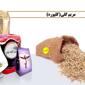 مریم گلی خرید مریم گلی فروش مریم گلی مریم گلی چیست عطاری در نجف اباد صادرات مریم گلی مریم گلی وارداتی