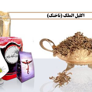 اکلیل الملک ناخنک ناخنک چیست فروش ناخنک خرید ناخنک خرید اکلیل الملک فروش اکلیل الملک اکلیل الملک چیست