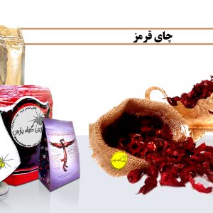 چای ترش(تمر) خرید چای ترش فروش چای ترش صادرات چای ترش خرید تمر فروش تمر تمر نجف اباد اصفهان گیاهان دارویی دمنوش در نجف اباد
