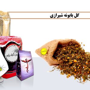 بابونه خرید بابونه قیمت بابونه بابونه چیست بابونه ارزان گل بابونه قیمت گل بابونه خرید گل بابونه گل بابونه چیست