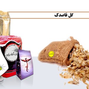 گل قاصدک گل قاصدک ارزان خرید گل قاصدک قیمت گل قاصدک گل قاصدک در اصفهان