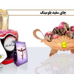 چای توپی چای توپی چیست چای توپی ارزان چای توپی در اصفهان قیمت چای توپی خرید چای توپی ]hd j,\d چای توپی درنجف اباد چای سفید چای سفید چیست چای سفید در اصفهان چای سفید ارزان قیمت چای سفید خرید چای سفید