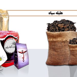 هلیله سیاه خرید هلیله سیاه قیمت هلیله سیاه هلیله سیاه هلیله سیاه چیست هلیله سیاه در اصفهان هلیله سیاه صادراتی هلیله سیاه کیفیت خوب