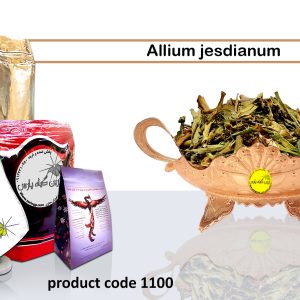 allium jesdianum Najafabad perfumer Zarin Giyah Pars Reza Javidi Attari Iran Medicinal plants in Iran
