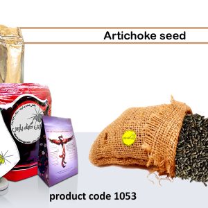 Artichoke online herbal shop Najafabad perfumer Zarin Giyah Pars Reza Javidi Attari Iran Medicinal plants in Iran