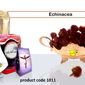 Echinacea Najafabad perfumer Zarin Giyah Pars Reza Javidi Attari Iran Medicinal plants in Iran herbal-shop online-herbal-shop