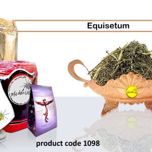 Najafabad perfumer Zarin Giyah Pars Reza Javidi Attari Iran Medicinal plants in Iran equisetum