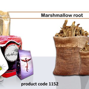 Marshmallow root organic-medicinal-herbs healing-plants iranian-medicinal-herbs Najafabad perfumer Zarin Giyah Pars Reza Javidi Attari Iran Medicinal plants in Iran