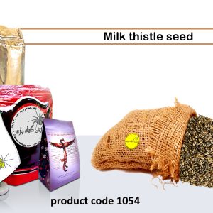 Milk Thistle Seed traditional herbal store herbal products Najafabad perfumer Zarin Giyah Pars Reza Javidi Attari Iran Medicinal plants in Iran