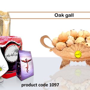 oak gall Medicinal plants Isfahan perfumer Najafabad perfumer Zarin Giyah Pars Reza Javidi Attari Iran Medicinal plants in Iran