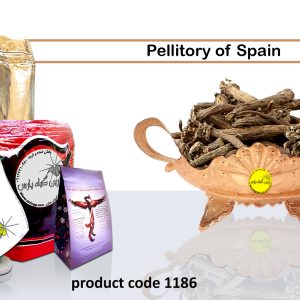 Pellitory of spain medicinal-plants herbs-and-remedies natural-medicinal-plants organic-medicinal-herbs Najafabad perfumer Zarin Giyah Pars Reza Javidi Attari Iran