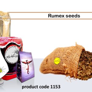 Rumex Seed herba medicine store Najafabad perfumer Zarin Giyah Pars Reza Javidi Attari Iran Medicinal plants in Iran