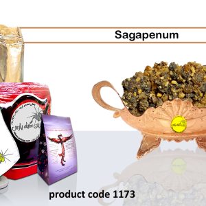 sagapenum Medicinal plants Isfahan perfumer Najafabad perfumer Zarin Giyah Pars Reza Javidi Attari Iran Medicinal plants in Iran