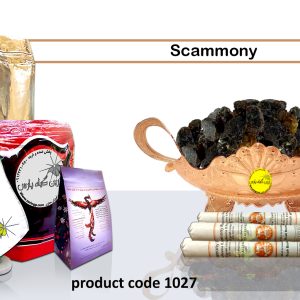 scammony Medicinal plants Isfahan perfumer Najafabad perfumer Zarin Giyah Pars Reza Javidi