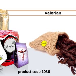 Valerian Root medicinal herbs organic medicinal herbs Najafabad perfumer Zarin Giyah Pars Reza Javidi Attari Iran Medicinal plants in Iran