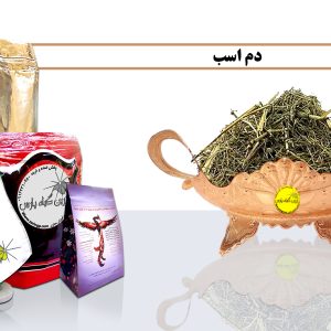 دم اسب گیاهان دارویی تصویر دم اسب dom asb