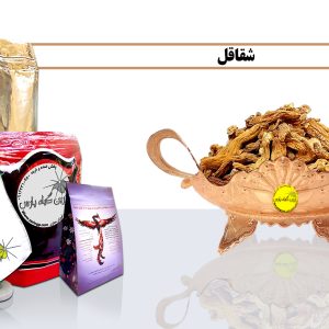 گیاه دارویی شقاقل خواص گیاه شقاقل شقاقل در طبیعت گیاه شقاقل برای درمان shaghaghol غافث گیاهان دارویی گیاه دارویی ghafes تاسیس عطاری عطاری در نجف آباد عطاری در اصفهان کیسه کشیش ریشه گیاهان دارویی گیاه دارویی kiseh keshish تاسیس عظاری مورینگا درخت-معجزه گیاهان-دارویی گیاه-دارویی moringa خرید گیاهان دارویی زرین گیاه پارس zarin giyah pars reza javidi رضا جاویدی