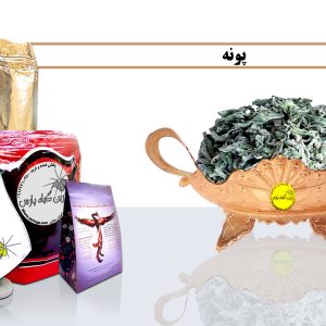 پونه پونه خشک پونه خشک در اصفهان پونه خشک در نجف آباد poneh poneh khoshk غافث گیاهان دارویی گیاه دارویی ghafes تاسیس عطاری عطاری در نجف آباد عطاری در اصفهان کیسه کشیش ریشه گیاهان دارویی گیاه دارویی kiseh keshish تاسیس عظاری مورینگا درخت-معجزه گیاهان-دارویی گیاه-دارویی moringa خرید گیاهان دارویی زرین گیاه پارس zarin giyah pars reza javidi رضا جاویدی