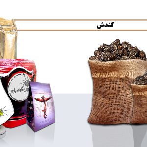 کندش کندش در اصفهان کندش در نجف آباد غافث گیاهان دارویی گیاه دارویی ghafes تاسیس عطاری عطاری در نجف آباد عطاری در اصفهان کیسه کشیش ریشه گیاهان دارویی گیاه دارویی kiseh keshish تاسیس عظاری مورینگا درخت-معجزه گیاهان-دارویی گیاه-دارویی moringa خرید گیاهان دارویی زرین گیاه پارس zarin giyah pars reza javidi رضا جاویدی kondosh
